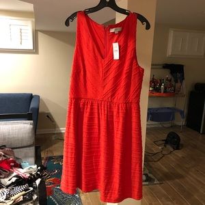 NWT Loft Orange/red dress with embroidered detail